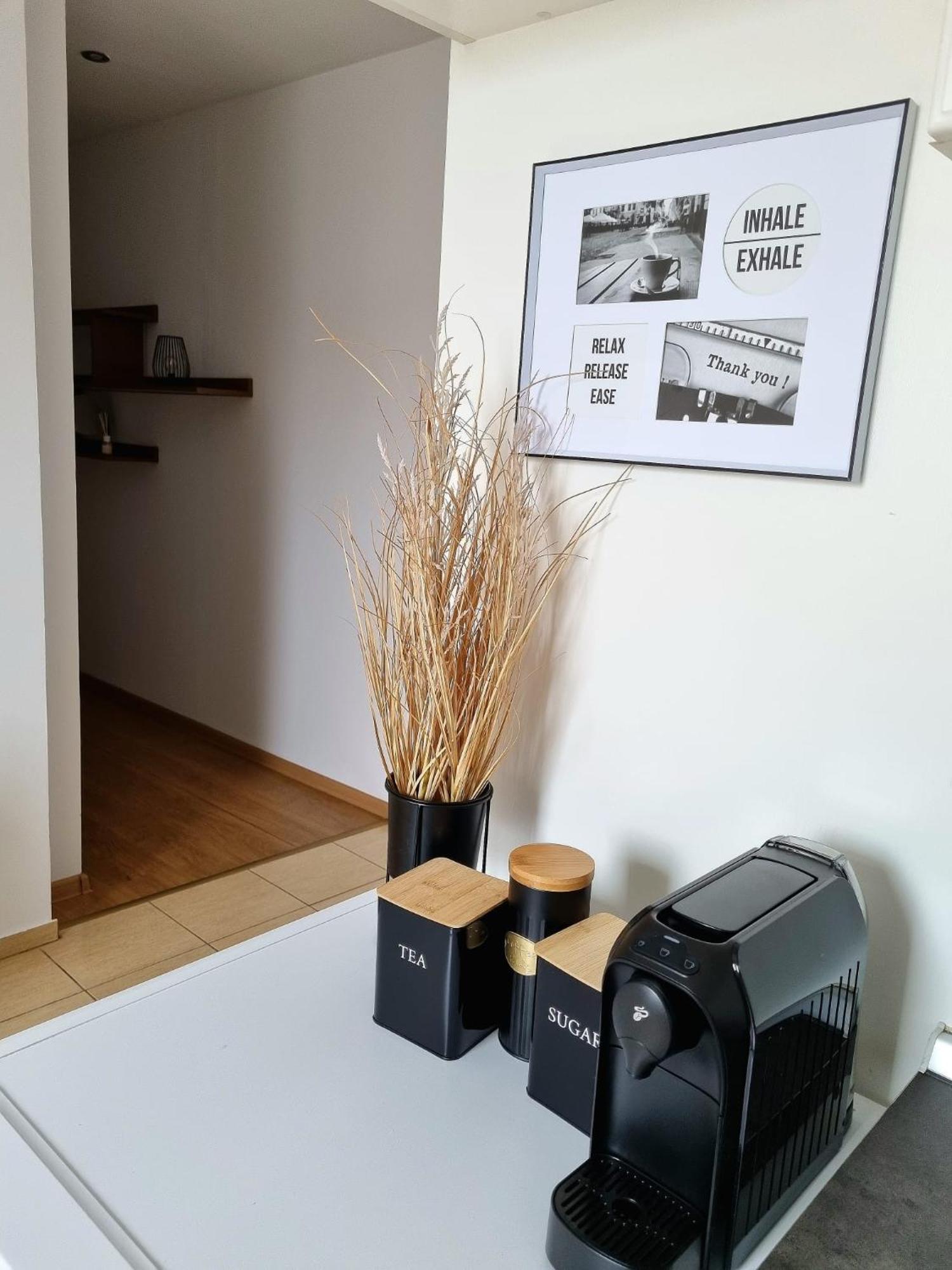 Iulius Town Charm Cozy Apartments טימישוארה מראה חיצוני תמונה